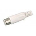 ▷ Rca Hembra Blanco Para Cable Rg58 - Pack 25 uds