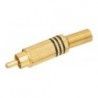 ▷ Macho Coaxial Rca Metálico. Dorado/Negro - Pack 10 uds