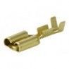 ▷ Terminal Hembra Con Retén. 6.3Mm - Pack 100 uds