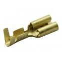 ▷ Faston Hembra 4.8 Mm. - Pack 100 uds