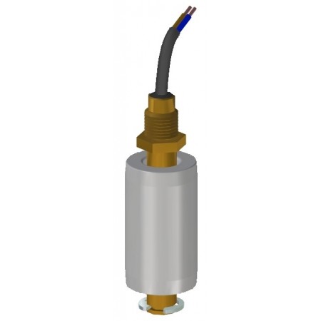 Interruptor de nivel magnético IMN 70 latón 1/4"