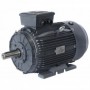 Motor eléctrico trifásico 1500rpm 50-60Hz B3 400-690V IE3 15CV