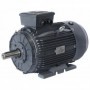 Motor eléctrico trifásico 1500rpm 50-60Hz B3 400-690V IE3 15CV