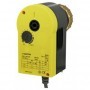 Actuador SAUTER AVM105F  /50V    250HZ120