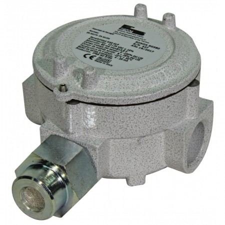 Sonda para detección de gas natural  IP65  BEINAT SG 580n