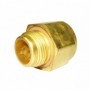 ADAPTADOR REGO M-3/4"G - H-3/4" NPT 7572C-14A