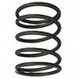 Muelle para FGD. FGDR y FG1B 50 color neutra para Ps:10-30 mbar.