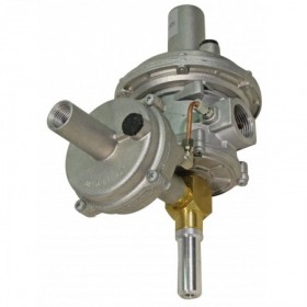 Regulador MPA y filtro con VIS de min. de 1-1/2" Ps: 20 a 40 mbar MADAS FRG/2MB min