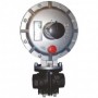 Regulador roscado 1"x 1" Ps: 18 a 25 mbar sin seguridades P. FIORENTINI DIVAL 500 BP