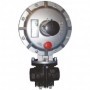Regulador roscado H-H 1" Ps: 0.6 a 1 bar  sin seguridades P. FIORENTINI DIVAL 500 MP/TR