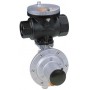 Válvula seguridad externa VIS de 1" máx. de 550 a 850 mbar mín. de 100 a 500 mbar P.FIORENTINI  DILOCK-507- LA/TR