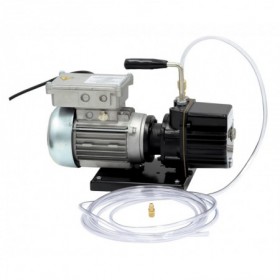 Bomba de vacío ATEX WIGAM RS3DE-X para hidrocarburos 230V 50/60Hz
