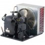 UNIDAD CONDENSADORA EMBRACO-ASPERA BAJA TEMPERATURA UNJ2212GS R404A/R-449A/R-452A CALDERIN 400 V III 50HZ