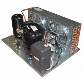 UNIDAD CONDENSADORA L´UNITE HERMETIQUE  CAJT4461YHR CALDERIN  R-134A 220V.