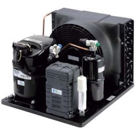 UNIDAD CONDENSADORA L'UNITE HERMETIQUE THB4419Y R134A OBUS 220V/I