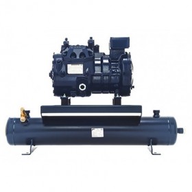 Unidad de compresión con compresor DORIN sobre recipiente para condensador remoto modelo RU-H7501CS