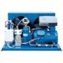 SEPARADOR DE LIQUIDO ASPIRACION 1-3/8" - 9 L MONTADO EN CONDENSADORA FRASCOLD