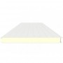 PANEL INDUSTRIAL 100MM EXTERIOR BLANCO / M19/1119