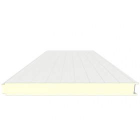 PANEL INDUSTRIAL 100MM EXTERIOR BLANCO / M19/1119