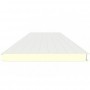 PANEL INDUSTRIAL 100MM EXTERIOR BLANCO / M19/1119