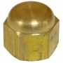 TAPON LATON HEMBRA DE 1/4" SAE