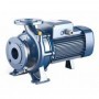 Electrobomba centrífuga horizontal normalizada EN-733 PEDROLLO F 50/125A