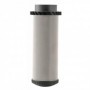 Cartucho filtrante 50µm inox. con baño de plata para filtro agua CINTROPUR NW 280