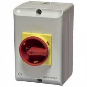 Interruptor-Seccionador paro de emergencia 4P 40A IP66 con caja para exterior VOLTIMERC