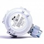 Sonda para detección de Ácido sulfhídrico  ATEX  BEINAT SG 895h2s