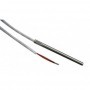 SONDA PT100 PT 6-TB VAINA INOX 100 X 6 CON 2 M CABLE TEFLON