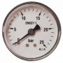 Manómetro Ø50mm horizontal 1/4" 0 a 25bar