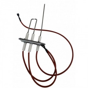 Grupo electrodos montado ROBUR para NEXT R30. R40. R50. R60 y R80