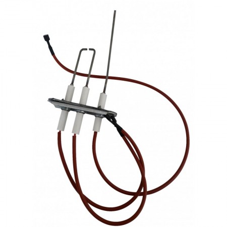 Grupo electrodos montado ROBUR para NEXT R30. R40. R50. R60 y R80