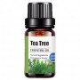 Frasco de 10ml de aroma a te verde