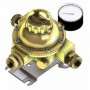 INVERSOR AUTOMÁTICO CLESSE MOD. 126. 50 KG/H  3/4" CON MANOMETRO SER-RES