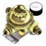 INVERSOR AUTOMÁTICO CLESSE MOD. 126. 50 KG/H  3/4" CON MANOMETRO SER-RES