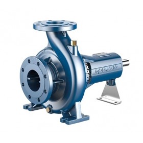 Bomba centrífuga horizontal normalizada EN-733 eje libre PEDROLLO FG 50/250A sin motor