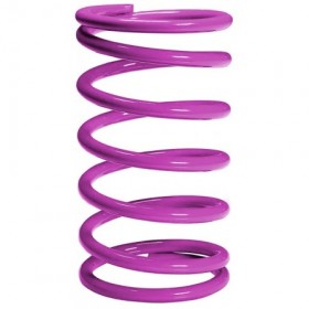 Muelle de regulación Wds GT1135 color   purpura   de 120 a 195   mbar paraF100S MP GASTECH