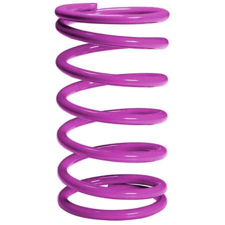 Muelle de regulación Wds GT140 color purpura y blanco   de 1000 a 1600 mbar para R25 y R40 AP GASTECH