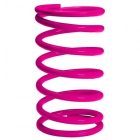 Muelle de regulación Wds GT1136 color rosa de 130 a 220 mbar para R50. F25. F40 y F50 MP GASTECH