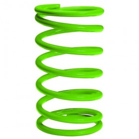 Muelle de regulación Wds GT137 color verde de 400 a 600 mbar para R25 y R40 MP GASTECH