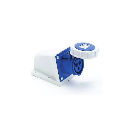 Base enchufe superficie 2P+T 125A 230VAC IP67