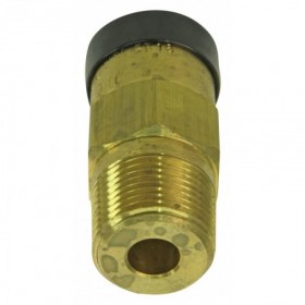 VALVULA SEGURIDAD RS3131 3/4" M NPAM