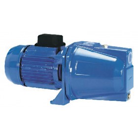 Comprar Bomba Autoaspirante CenTrifásicaga Serie Jet Jet-105L EB10502 al Mejor Precio
