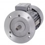 Motor eléctrico trifásico SIEMENS 1500rpm 50-60Hz B5 220-380V IE1 4CV
