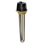Comprar Resistencia Electrónica Inmersion Con Tapon Dp025 1500W 230/400Vac 1-1/2" L 180Mm RA01061 al Mejor Precio