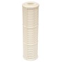 Cartucho filtrante agua 80µm plástico lavable RLA para filtro 3 piezas 10" STANDARD