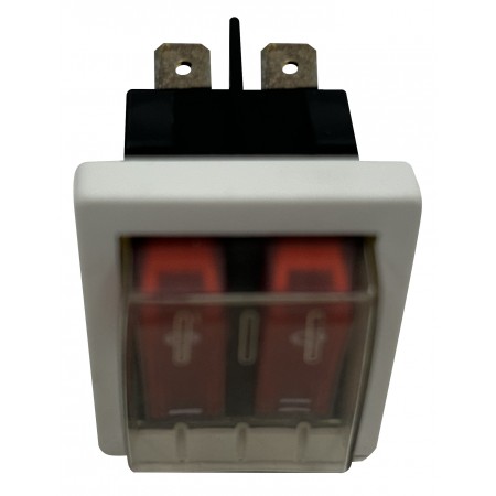 104329 INTERRUPTOR CELSIOR DRY