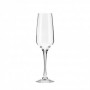 COPAS FLAUTA SOFIA 21 CL CAJA 6