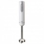 BATIDORA PIE VARILLA INOXIDABLE 700W BT158